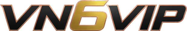 vn6vip
